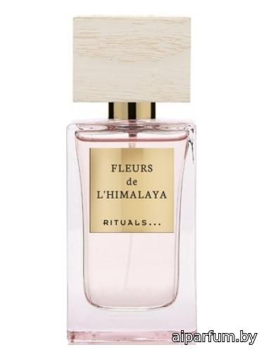 Fleurs de L'Himalaya