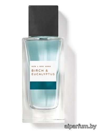 Birch & Eucalyptus