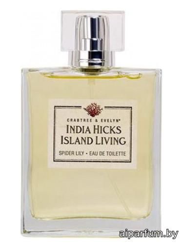 India Hicks Island Living - Spider Lily