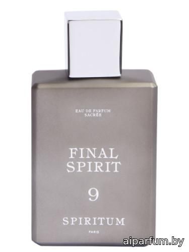 9 Final Spirit