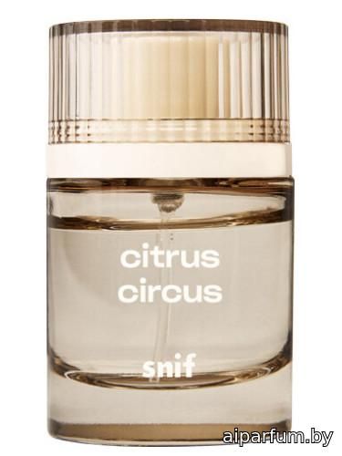 Citrus Circus