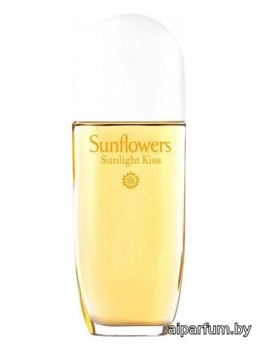 Sunflowers Sunlight Kiss