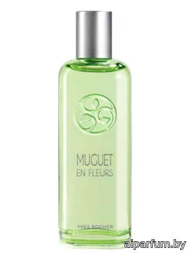 Muguet En Fleurs