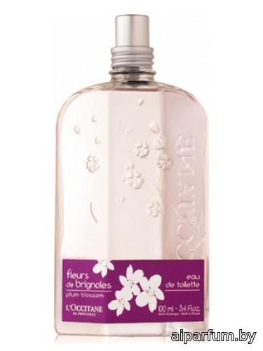 Fleurs de Brignoles (Plum Blossom)