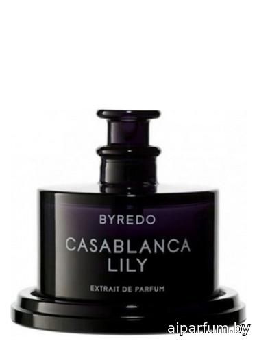 Casablanca Lily