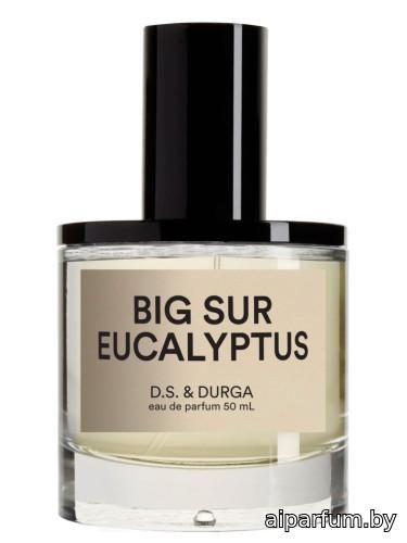 Big Sur Eucalyptus