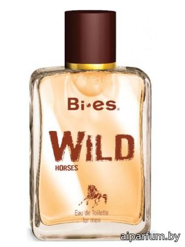 Wild Horses