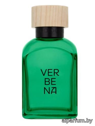 Verbena Hombre