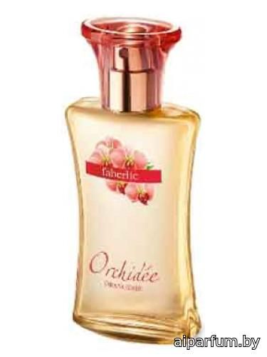 Orangerie Orchidee