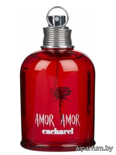 Amor Amor