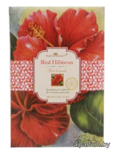 Red Hibiscus