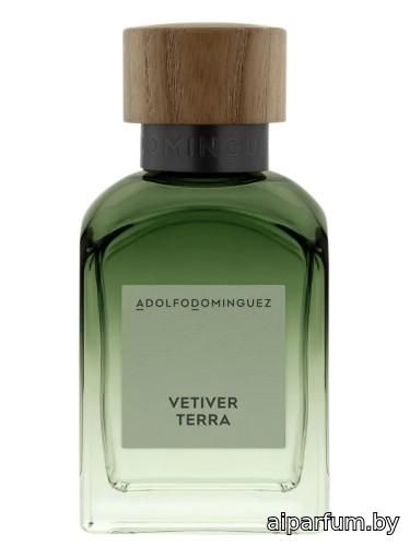 Vetiver Terra