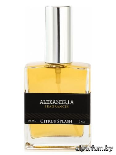 Citrus Splash