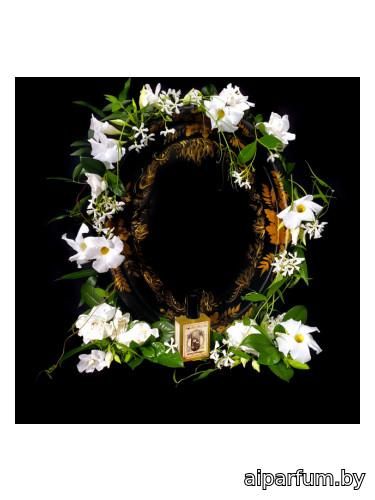 Flowers Nocturnal