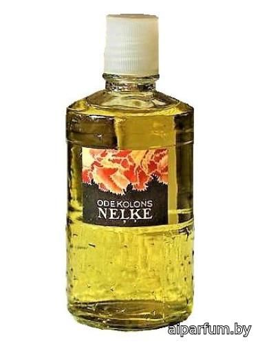 Neļķe (Гвоздика)