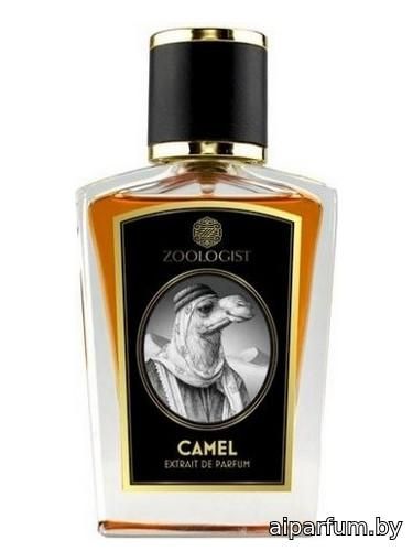 Camel