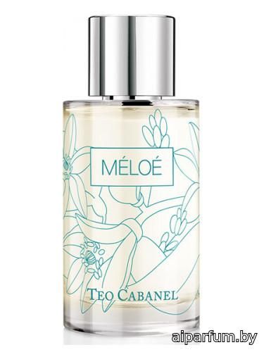 Meloe