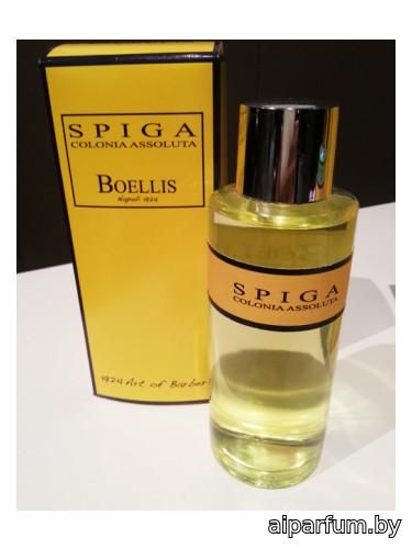 Spiga