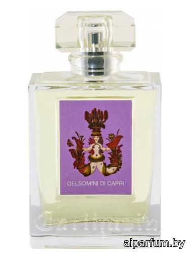 Gelsomini di Capri 2017