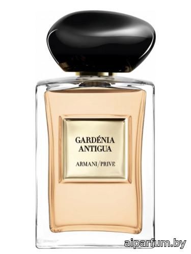 Gardénia Antigua