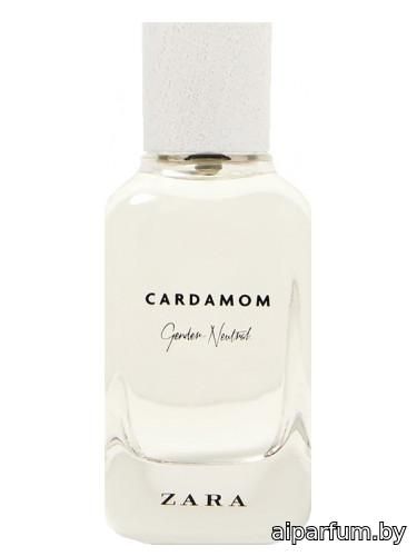 Cardamom - Gender Neutral