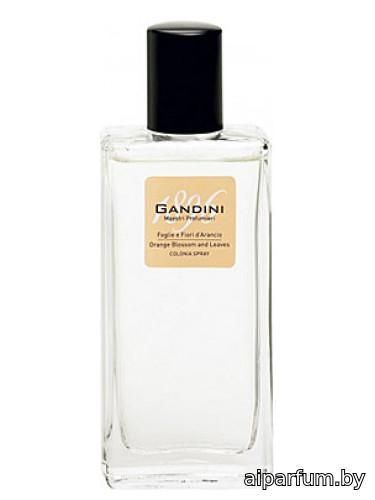 Orange Blossom and Leaf