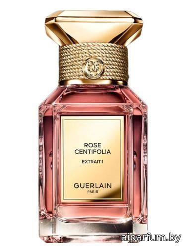 Rose Centifolia Extrait 1