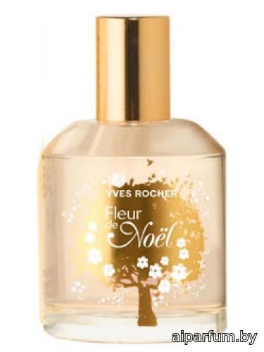 Fleur de Noel 2011