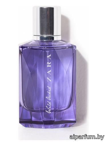 Wild Orchid