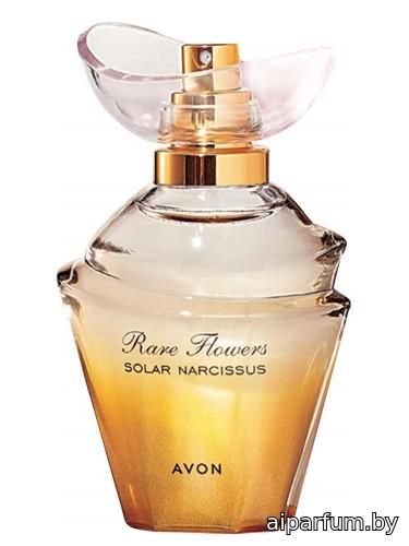 Rare Flowers Solar Narcissus