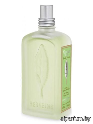 Verbena Mint