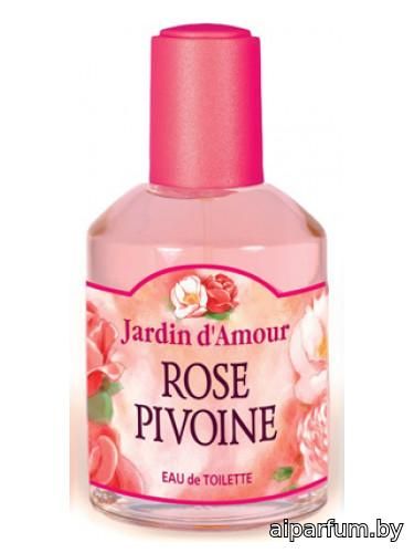 Rose Pivoine