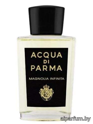 Magnolia Infinita