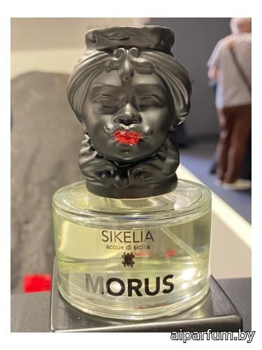 Morus