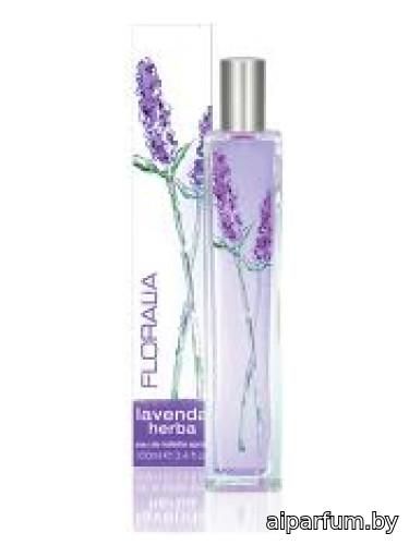 Lavenda Herba