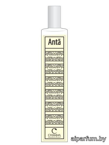 Antã