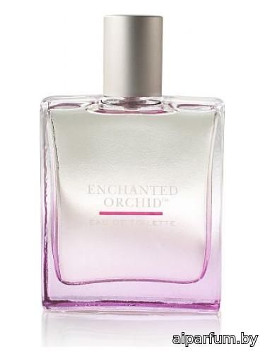 Enchanted Orchid