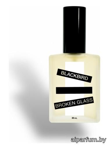 Broken Glass