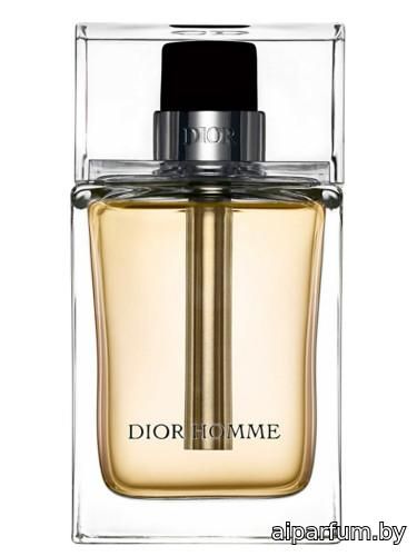 Dior Homme 2005