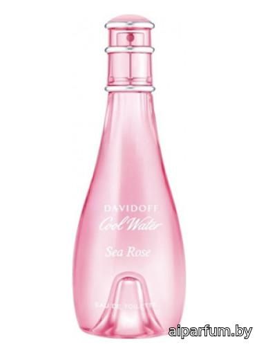 Cool Water Sea Rose