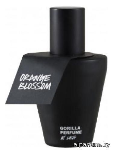 Orange Blossom
