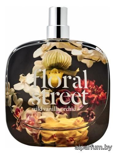 Wild Vanilla Orchid