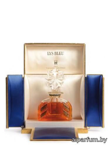 Lys Bleu