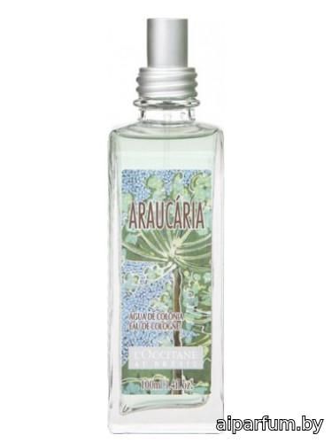 Araucária