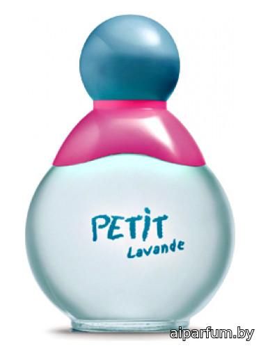 Petit Lavande