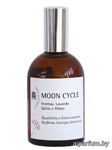 Moon Cycle