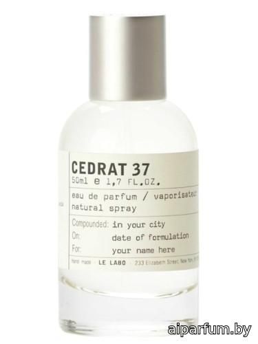 Cedrat 37 Berlin
