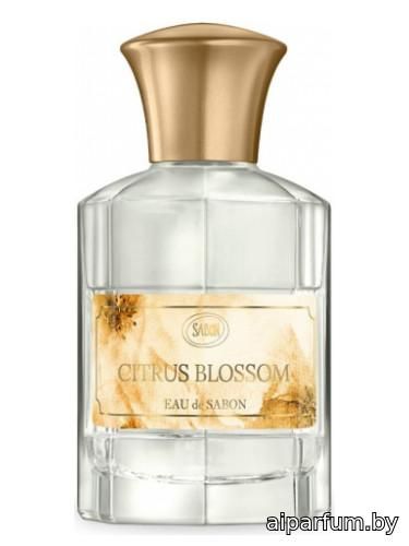 Citrus Blossom