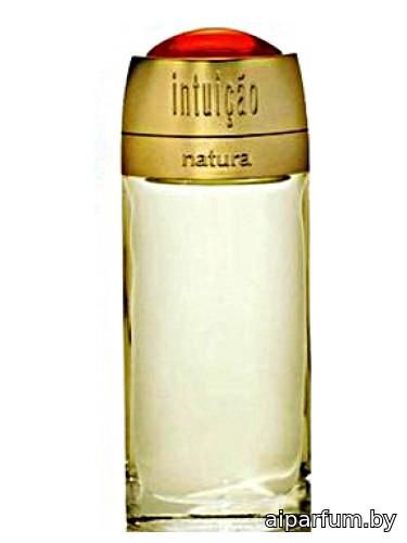 Intuição
