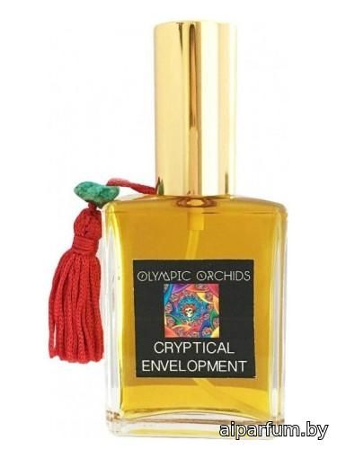 Cryptical Envelopment
